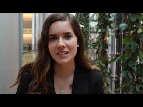 IES Abroad European Union