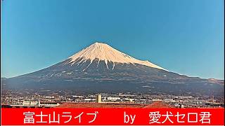 🔴 Live: Mount Fuji Japan 24/7 | Stunning View from Shizuoka Fuji City |富士山ライブ live webcam