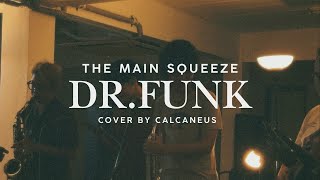 The Main Squeeze - Dr. Funk (Cover By Calcaneus)