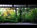 1 HOUR Japanese Temple Bell Sound At Hondo For Relaxing Healing And Zen
