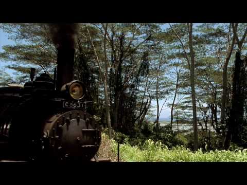 To End All Wars (New Director's Cut Trailer)