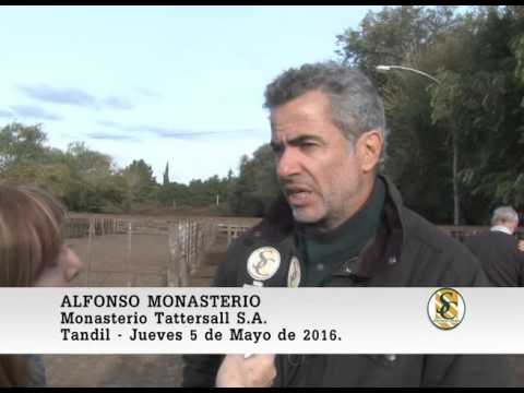 05-05-16 Alfonso Monasterio - Coop Agric. Ganad. de Tandil y Vela - Monasterio Tattersall - Tandil.