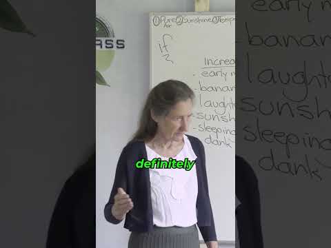 Himalayan Salt Lamp |  #barbaraoneill