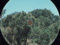Rings Around Saturn Portion 22 Analogue Attic Recordings AAR002