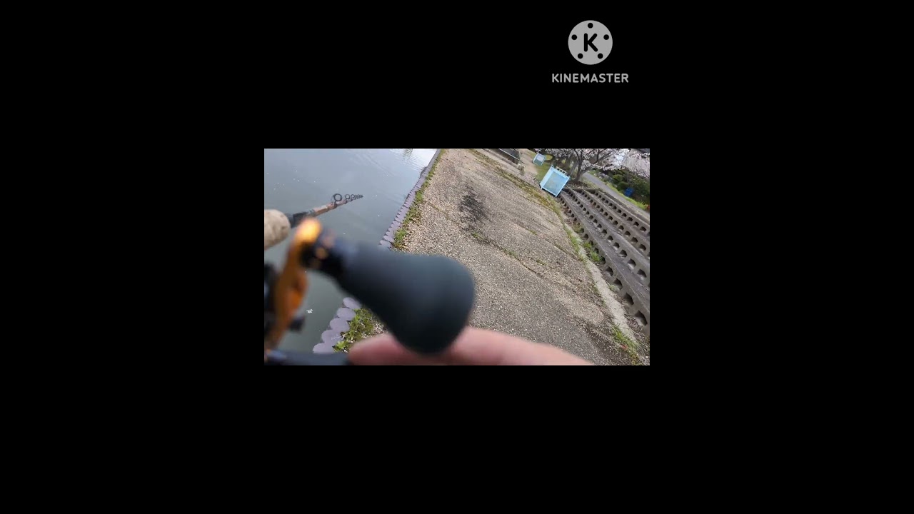 CMです。琵琶湖バイク旅です #イマタク #バス釣り #イマタクチャンネル #fishing #釣り #bassfishing