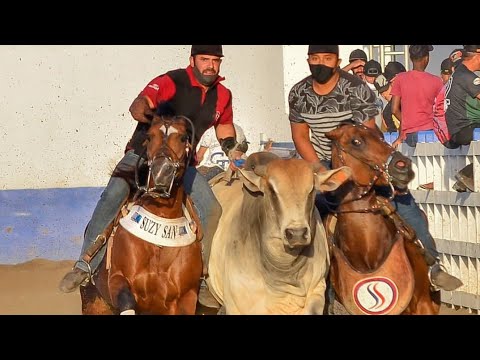Tarcísio do Acordeon - Sempre fui Vaqueiro.