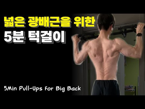(타이머/삐소리O)넓은 광배근을 위한 등운동 턱걸이 | Pull-Ups For Big Back(Day217)