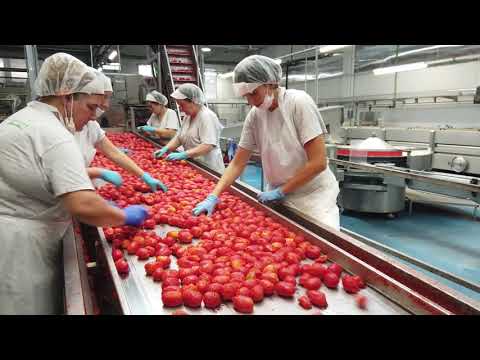 La Selva   Tomatenfabrik finale Version YouTube Auflösung 14 05 2021