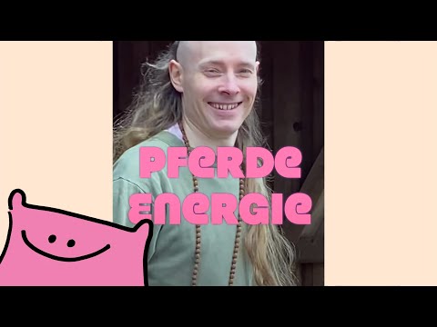 DJ HUNDEFRIEDHOF - Pferde Energie
