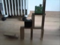 Angry Birds WTF Boom Stop Motion