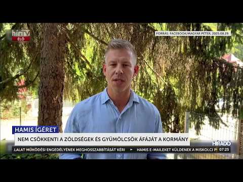 Az adócsökkentés költségvetéséből kimaradtak a zöldségek és a gyümölcsök- HírTV
