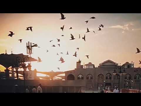 Ahmed Al Nufais - Surah Al-Imran (3) Verses 133-136 - Beautiful Recitation