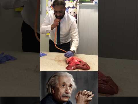 Sigma science experiment Albert Einstein 😱 Lung inflation in science Lesson 2025 #shorts #biology