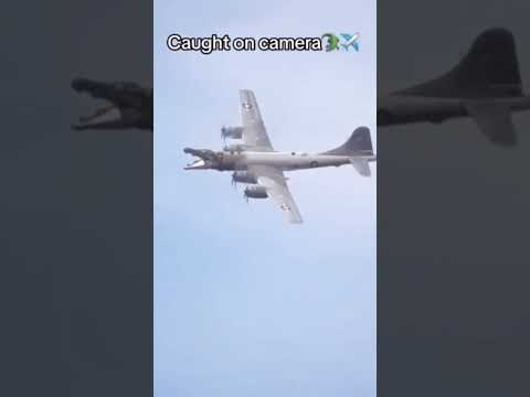 COCODRILO BOMBARDINO ATTACKS US IN REAL LIFE #shorts