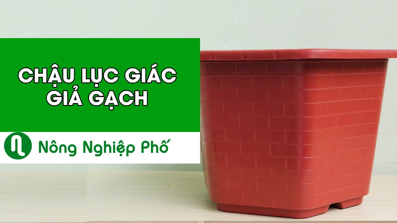 Chậu lục giác giả gạch chuyên trồng cây kiểng