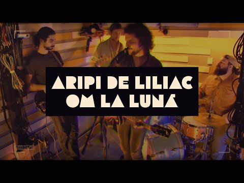 om la lună — Aripi de Liliac