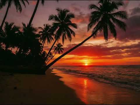 BlueWave - Diz que me quer