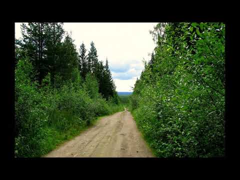 Georg Malmstén - Korven Milja