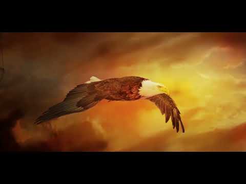 TreasureQuest : Island Escape