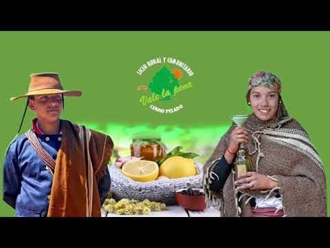 Los Fogones del Cerrito 2024 - Institucional