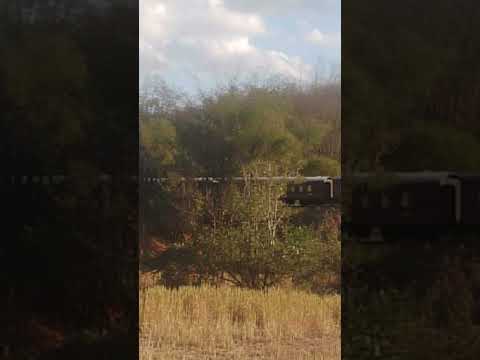 Trecho da Estrada de Ferro Independência Picuy sentido Pirpirituba PB, reprodução por IA.