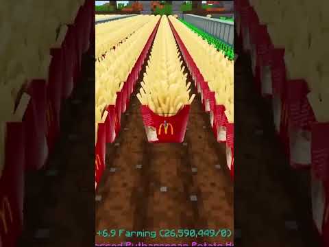 How McDonalds Fries Are Made #shorts #hypixel #minecraft