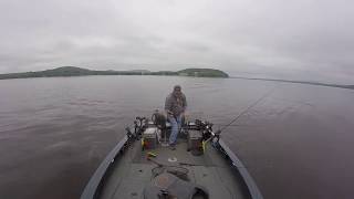 preview picture of video 'lake Wisconsin walleyes'