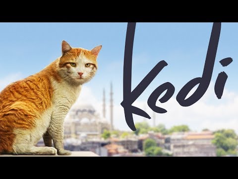 , title : 'Kedi - Full Length Documentary'