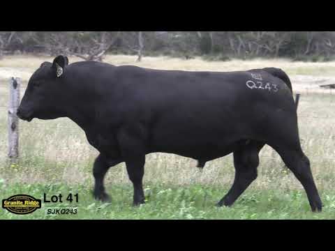 GRANITE RIDGE QUICKSILVER Q243