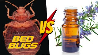 Should You Use Essential Oils for Bed Bugs?