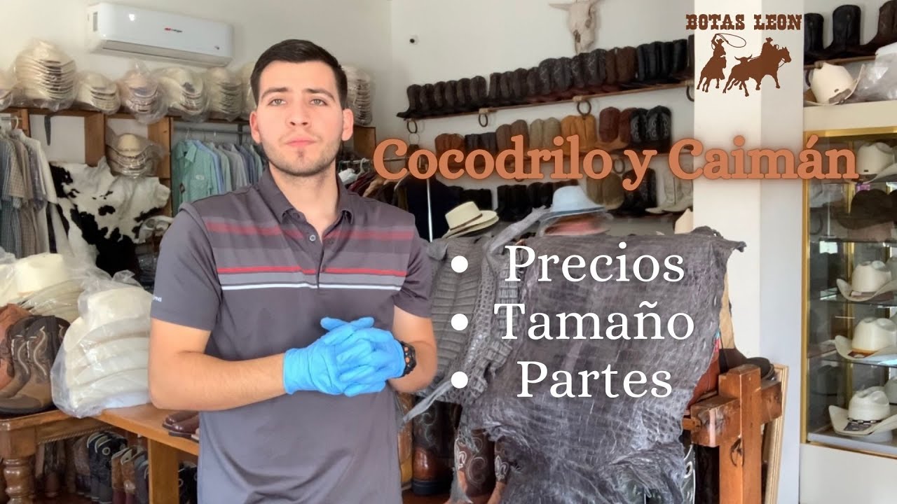 Watch video BOTAS DE COCODRILO, CAIMAN Y PIELES #botasleoncaborca Now BOTAS DE COCODRILO, CAIMAN Y PIELES #botasleoncaborca