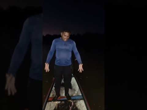 Ricon. Piracema de Peixe no Rio Juruá. Guajara Amazonas.