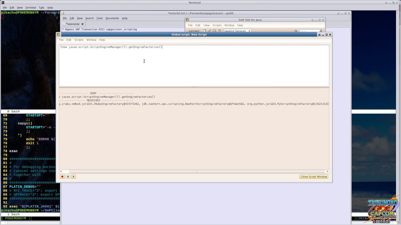 SAPGUI Scripting & SAPjCO with Jython