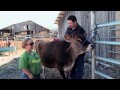 Spokane's Family Farm | Spokane, WA | Washington Grown