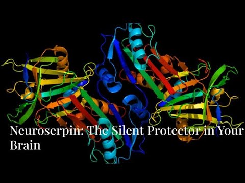 Neuroserpin: The Silent Protector in Your Brain