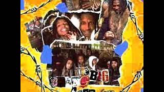 Nef The Pharaoh - The Big Chang Theory (FULL LP)