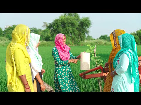 What is Climate-Smart Rice Farming I CORE: Carbon Offsetting Rice Emissions, in India