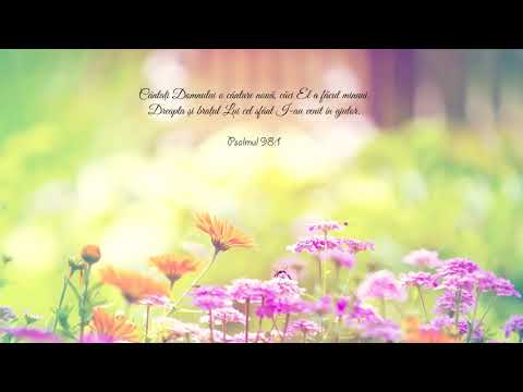 Colaj 3 Ore Cantari Crestine De Pe Timpuri Grup Voitinel