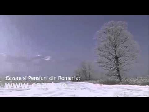 Cazare Cosarii, Timis - Cazat.ro