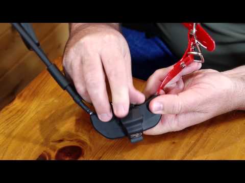 sportdog training video