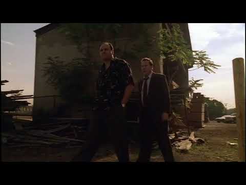 The Sopranos: Further Investigations Into Dr. Melfi's Life