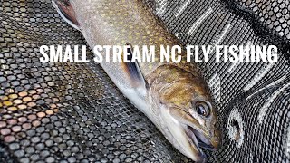 Small Stream Fly Fishing - NC Delayed Harvest