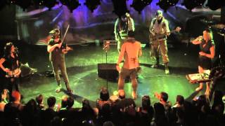 Video thumbnail for Stratton Skull | Abney Park | Electric Violin Shop by Electric Violin Shop
