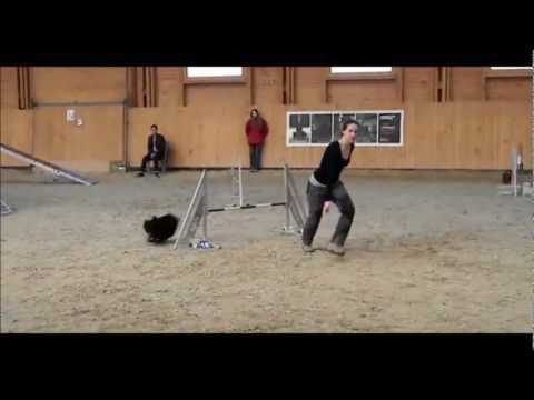 Pletyka, winner of Hungarian Republic Cup! 03.03.2013