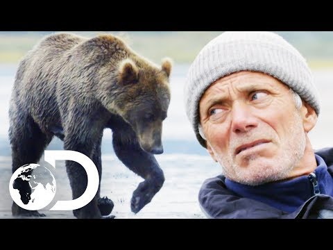 Jeremy Wade Gets Dangerously Close To A Wild Bear | Jeremy Wade's Dark Waters