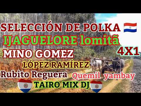 SELECCIÓN DE POLKA 4X1 IJAGUELORE TAIRO MIX DJ