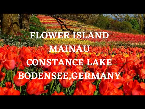 FLOWER ISLAND,MAINAU GERMANY (CONSTANCE LAKE/BODENSEE) DAY TOUR/HOLIDAY/TRAVEL/SIGHTSEEING