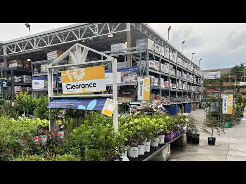 Perennials At Lowes