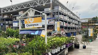 CLEARANCE Plant Shopping for Shrubs and Perennials at Lowes Garden Center