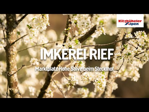 Marktplatz Hohe Salve: Imkerei Rief beim Stecklhof | Region Hohe Salve - Kitzbüheler Alpen